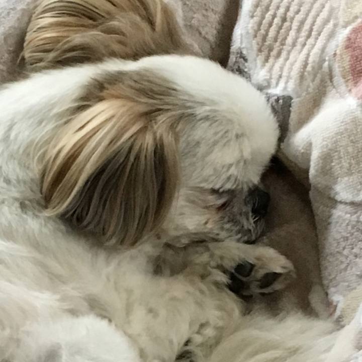 941fb5b3 d824 4949 812f 6602d6b3771b 1559864574565