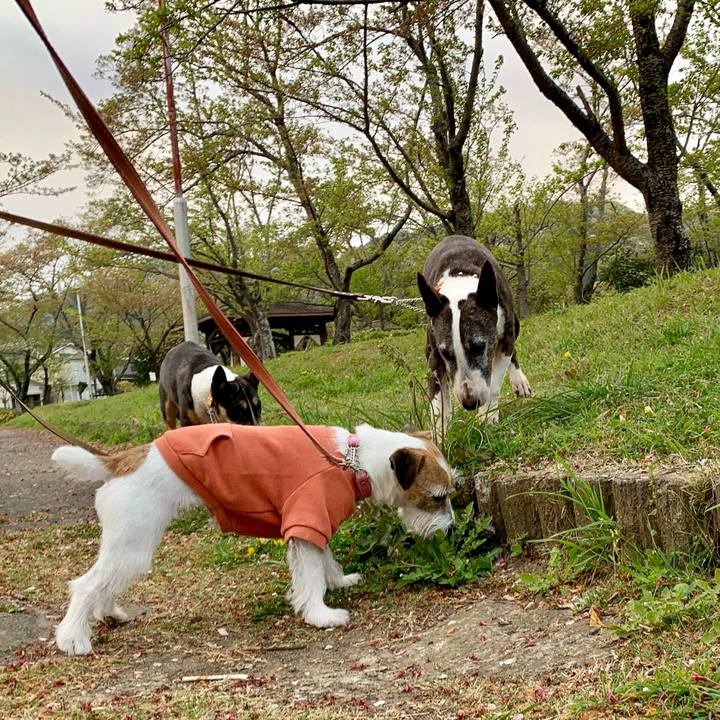 941fc501 7006 4f44 8b1a 351c628c2f91 1617969647189