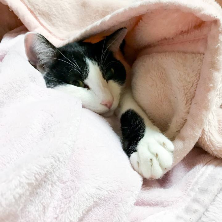 941fc740 bed4 4f87 87c2 99bee00c6a19 1513693397461