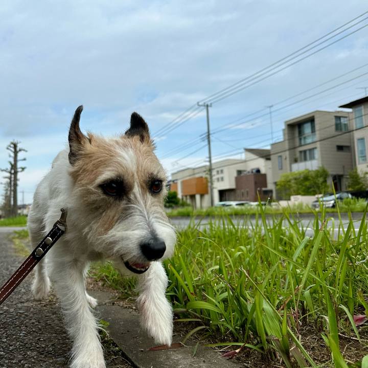 941fdedc 80a0 41eb 86b9 95f3c74e1461 1746336168683