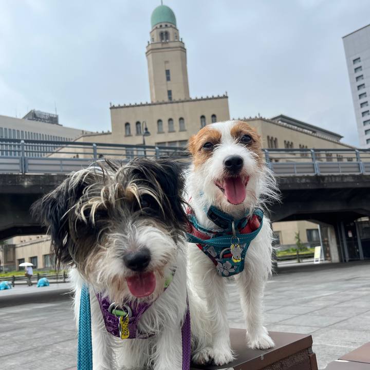 9420213e ba0a 459d a393 8bf71ec1806c 1757684045480