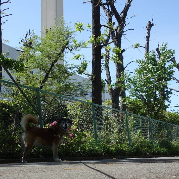 94202a1a 1496 4b16 bc42 ac62cfccc5f3 1556415407230