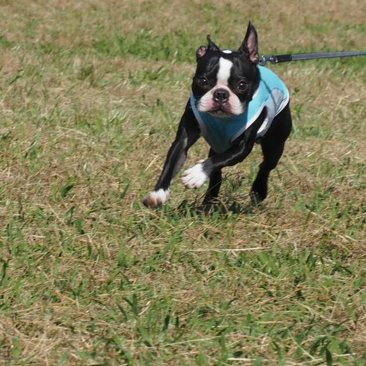 94202a70 5476 4e2d b861 1dd46ea91c21 1540204467390