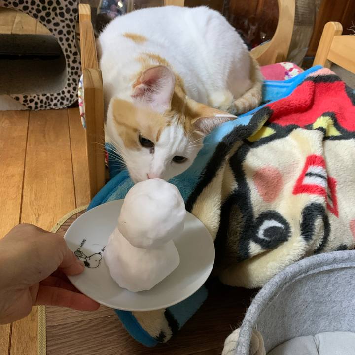 94209340 5c39 434d ad96 f421b19baec9 1610027809370