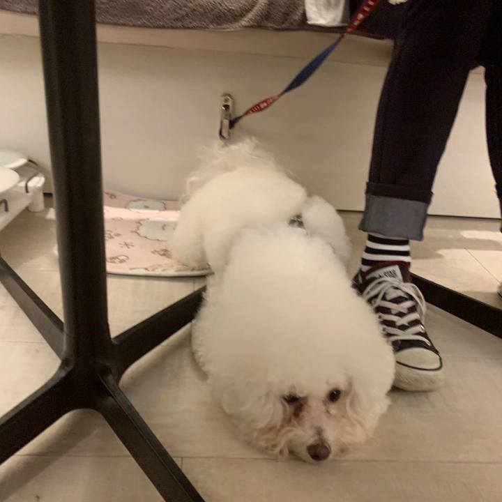 9420c137 5e2d 4c2f b189 f39f82c0f34b 1563182210709