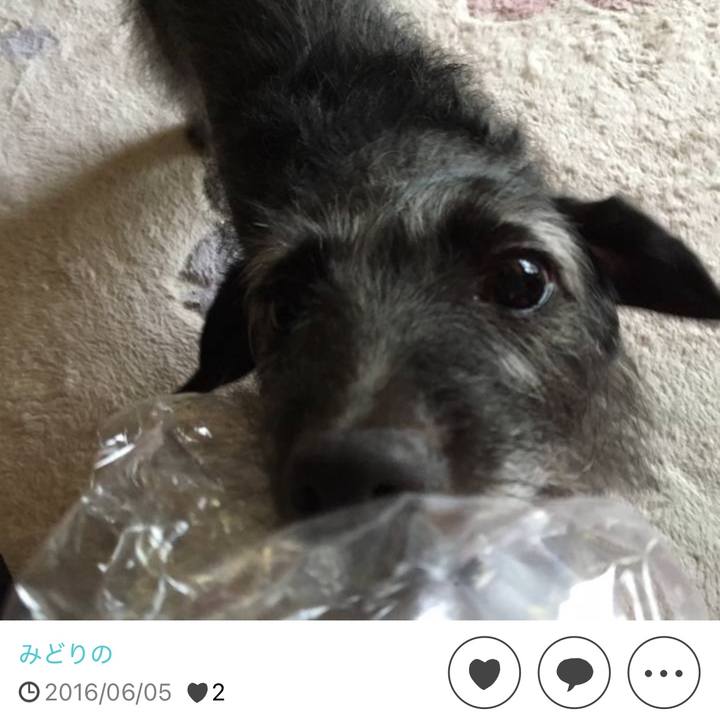 9420c9a6 6da3 4b81 9877 788d892a5b94 1749338411074