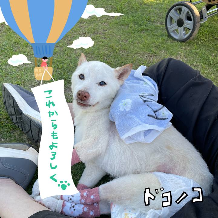 9420dbe0 c7c0 464e 9cb3 27f531208077 1685964358766