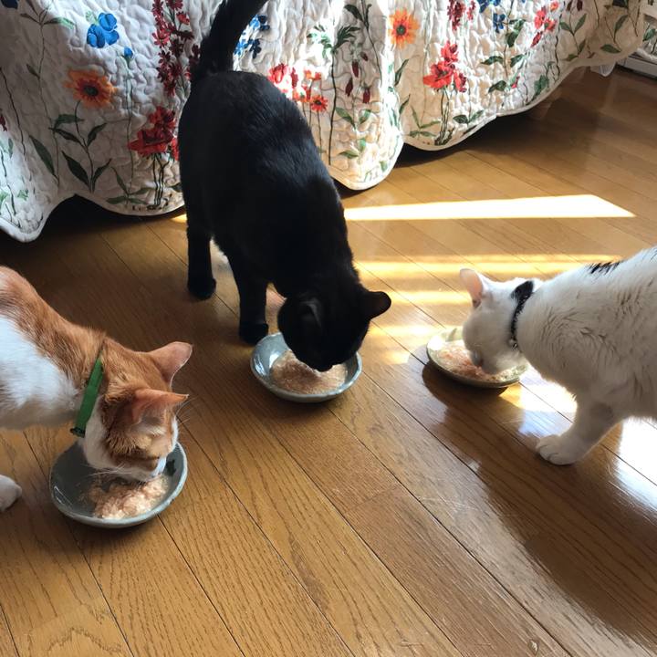 94213144 52b5 438b 8479 32e470106d85 1584842743600