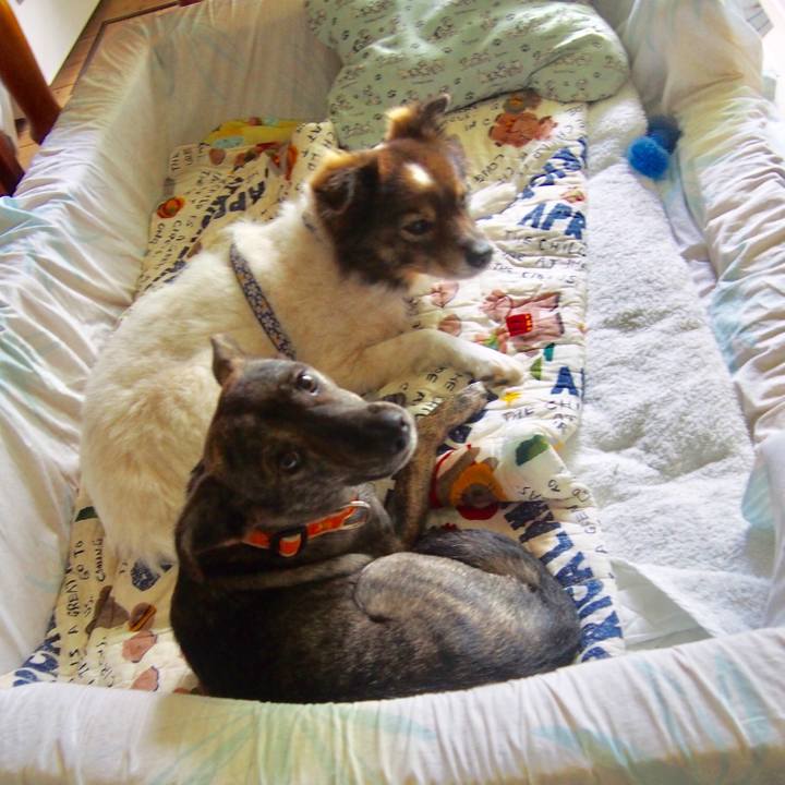 94215d25 f434 4549 9728 bd4a5280597f 1545095216192