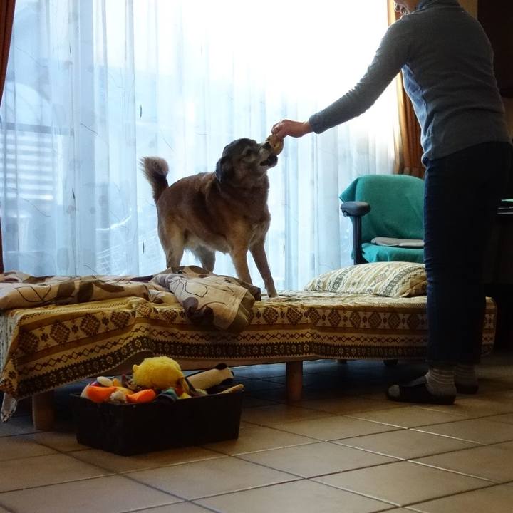 94218a37 eeab 400d 8197 10e7792340e5 1656371848937