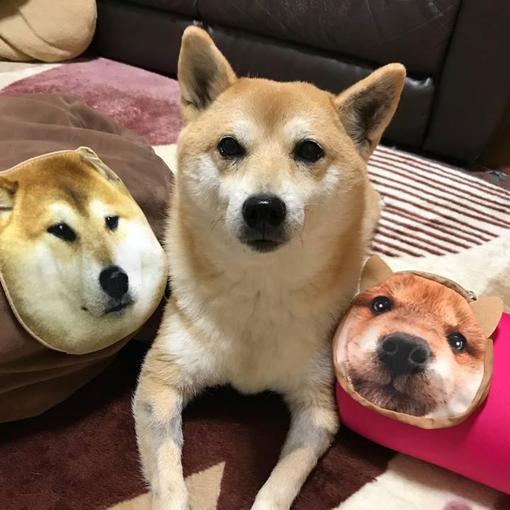 94219398 c079 4c8c 885d 43d26998ce64 1514278250878