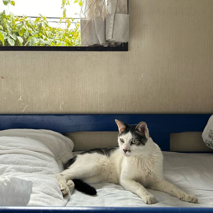 9421b418 fac4 49fb 8a1e 4bdece9ad6f3 1723681360192