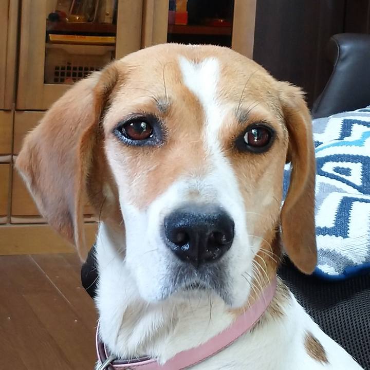 9421b528 89e9 437e add9 fa55966f1aad 1598102519781