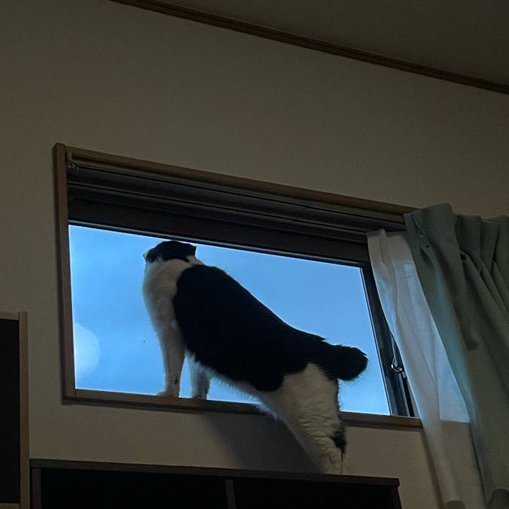 9421b9d5 8bc4 4fc0 8190 04e88498c9f8 1666645835364