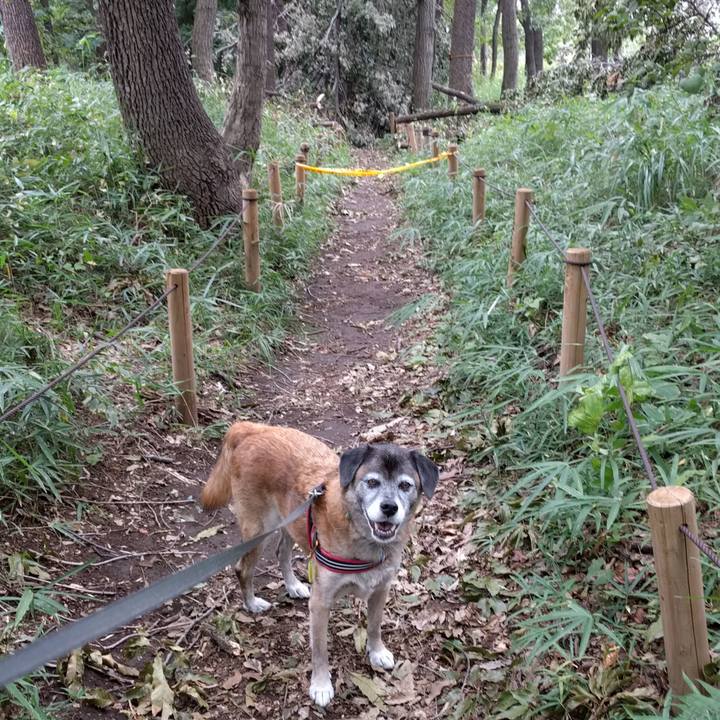 942204e7 32e8 4837 9805 1c0c3bb331b2 1538701279797