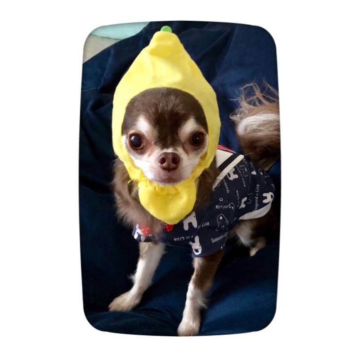 94221e47 ee56 4666 bfeb 2e477e35949d 1533465889525