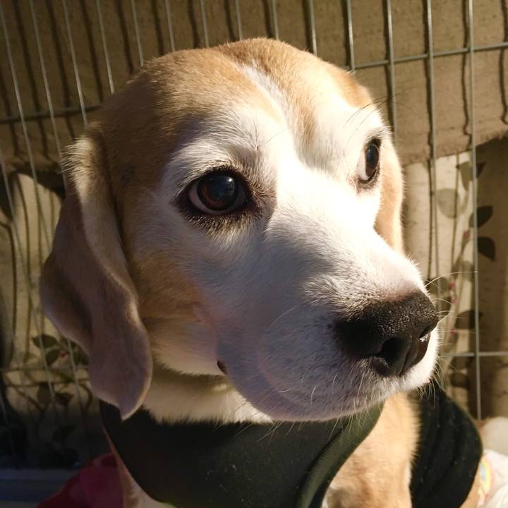 942281ab 50b6 4a59 b0a5 3128410aba80 1571476208629