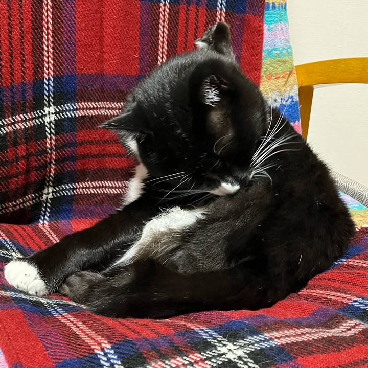 94228400 97f2 4baa 8673 9ab3b8279817 1735647775487