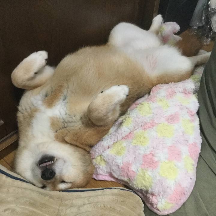 9422a0c6 d6e3 40fe 961d 4750dec42cf4 1593302710507