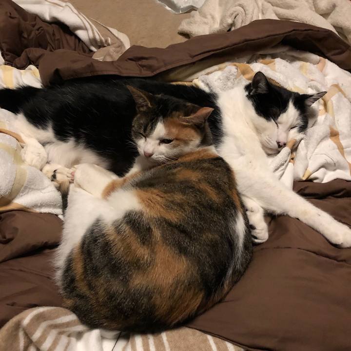 9422bfde c617 4470 9afc d50d97eb0ea8 1579883679062