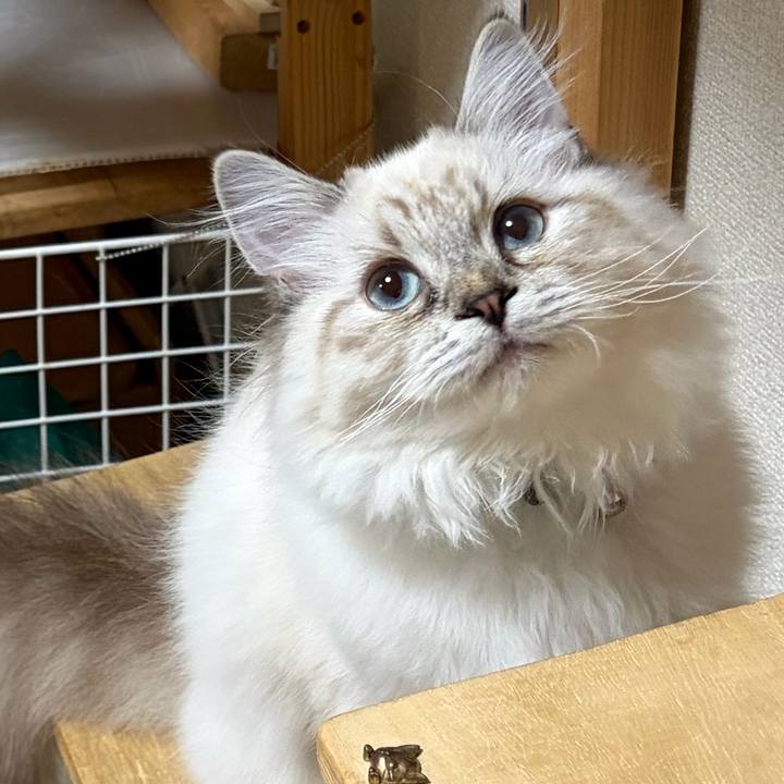 9422d9ef 1cfc 45e3 b01f 7bb588853f8a 1772796797927