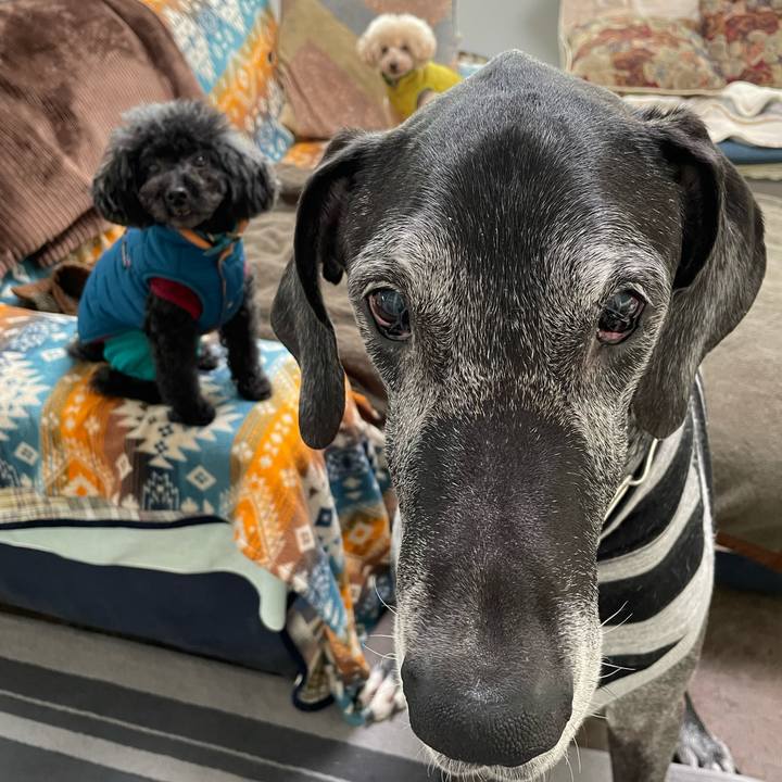 9422e406 9ece 42ab be8a 82c25244ead2 1641941935682