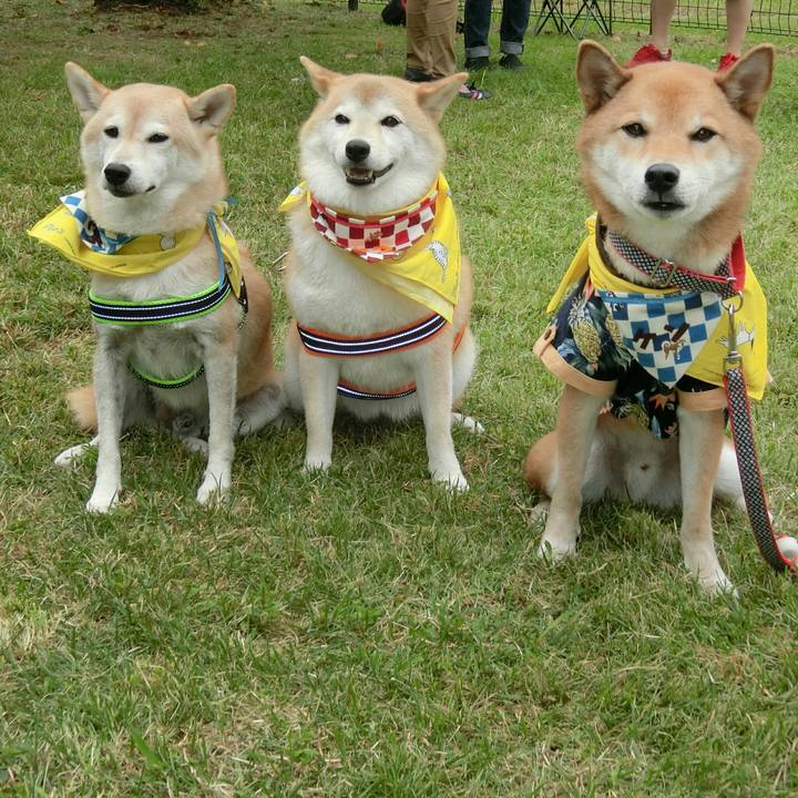 9422ec1a 82e2 4952 bcf2 d71e6ec43f6b 1569680637225