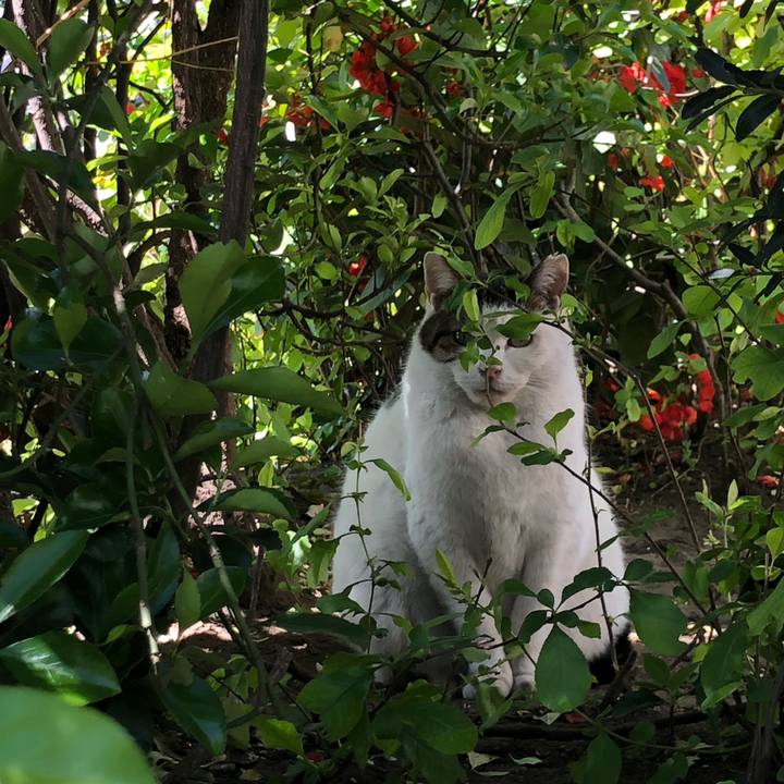 9422ff4e a8ae 4564 ba22 7b1b8040582f 1585410624966