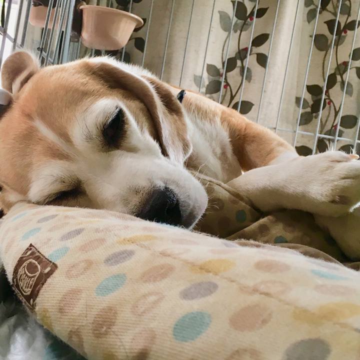 942300d0 9233 4f5d 8cfe 3bd28c5b2fd0 1535858376834