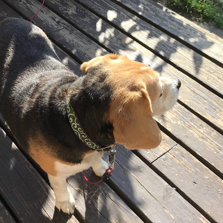 942335ce c3d1 4280 8632 2c8757f075ec 1524486296921