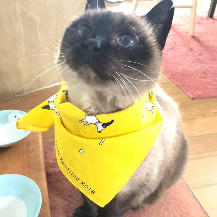 942376d3 f0b1 4f0f 9a61 184facb73e93 1591326064443