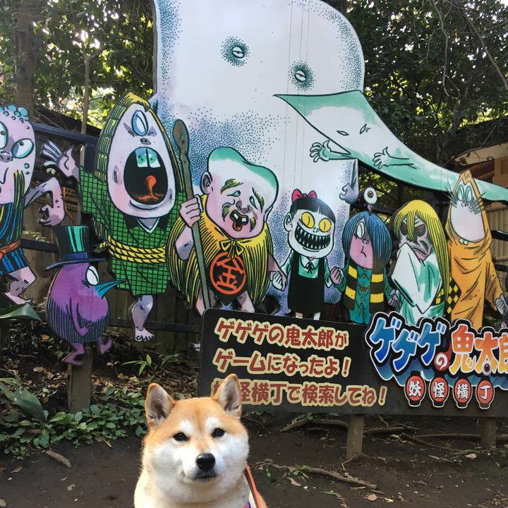 9423a839 c283 4d47 8ef7 13ace44aedb1 1573203669649