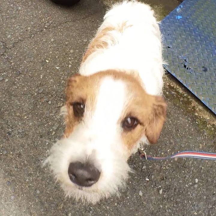 9423d637 deac 42f6 affd b560c4b81173 1685316987524