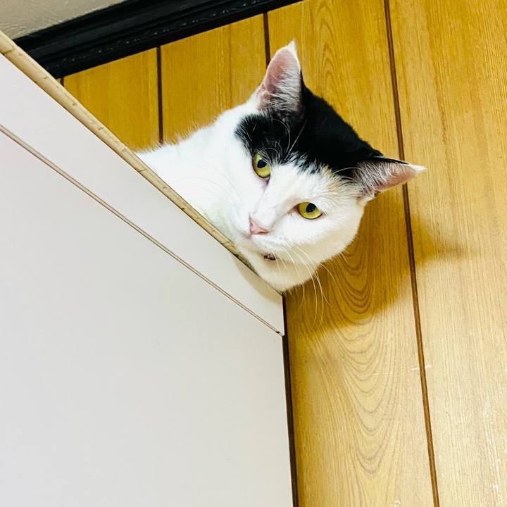 9423fd26 9c05 4cc8 b22e 80062d4a6d4a 1662721084135