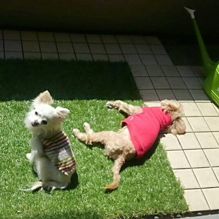 94240dec 2be9 4c0a b9d1 880918f4c69f 1522462271747