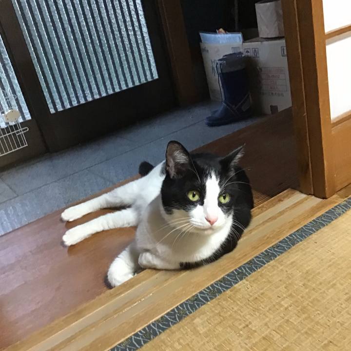 94241020 eb92 4ca0 8656 85f49935e306 1750325838858