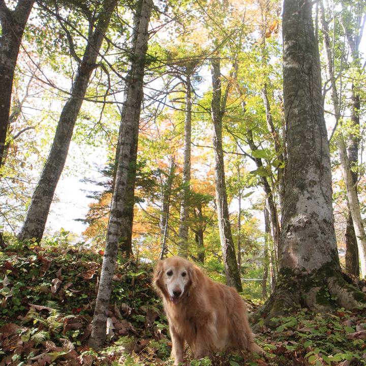 9424170c dc4f 4f8d 8c88 db51872cd42d 1761216489936