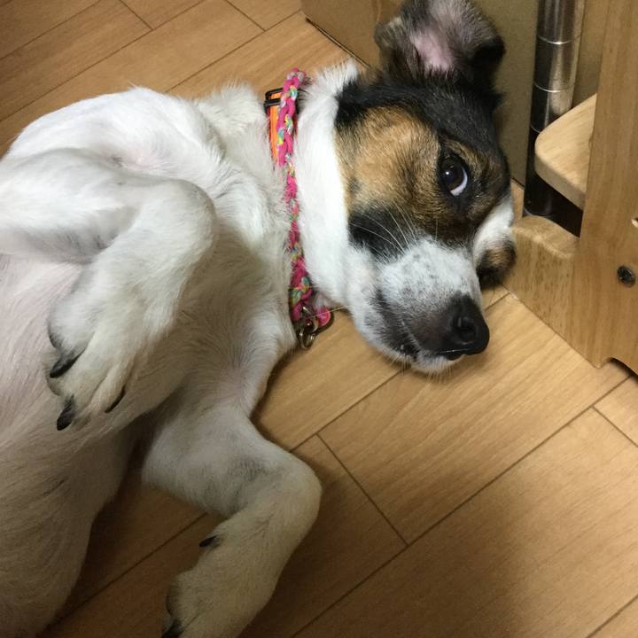 942417d9 19f1 410d a62c d069ce1876a1 1539945521454