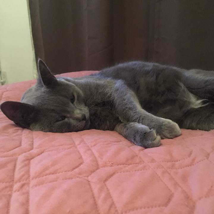 9424623c 90de 4779 8d5b 7fe130742d31 1692589052204