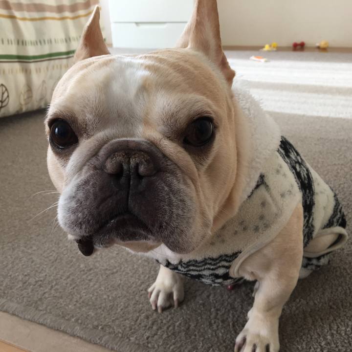 94249abd a0fe 4939 9366 84cd4b5382fd 1515556922618