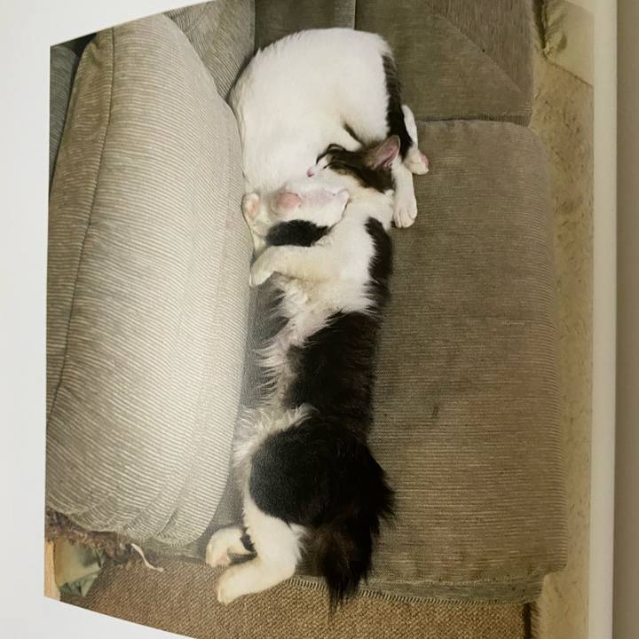 9424ad1d 1805 4eab 8417 2aacf8eab6e9 1664662090511