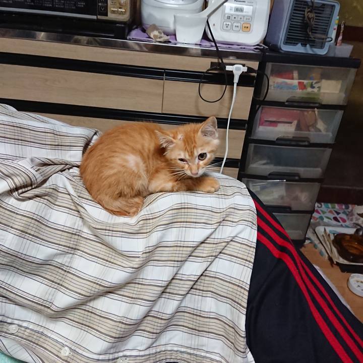 9424ca1b 1849 4696 90ef 229dedde66f9 1628847062428