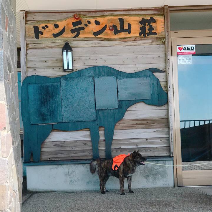 9424daa8 3149 4673 9d53 4b001d840e35 1526817396906