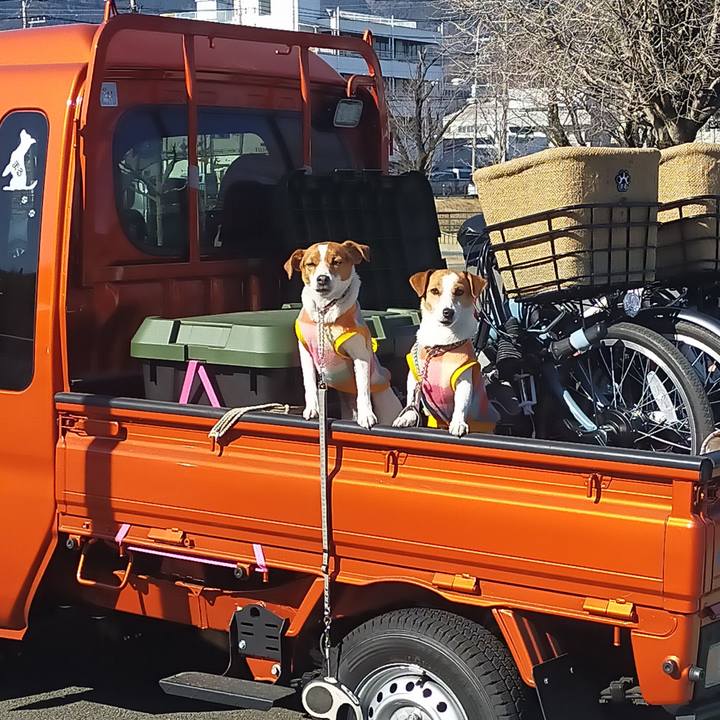 9424db48 5359 4a01 8327 73166d02fec3 1772961228631