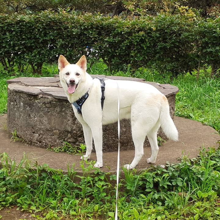 9424e84a 8934 4083 b095 2e1c26e1627c 1655512421304