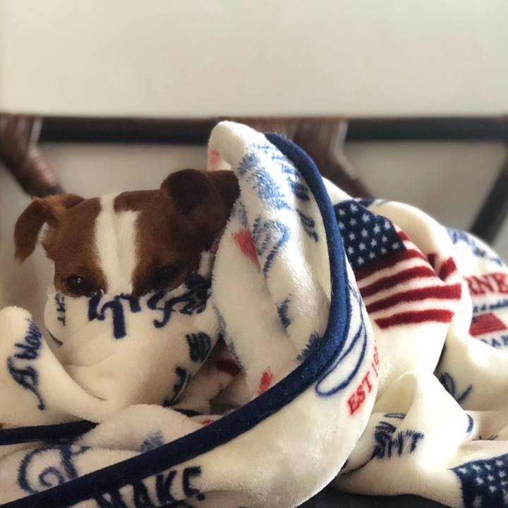 9424ed2d a288 41a5 9b36 f7ce6571ffc9 1582797499945