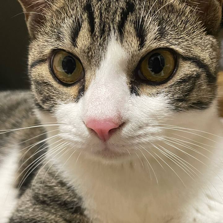 94250db2 2a25 4e91 ad42 9af454fea7a9 1733407057450