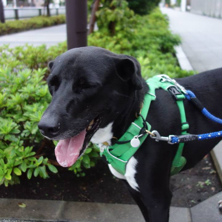 94254585 8e17 4f36 98ec 51d39d585ffb 1595674410961