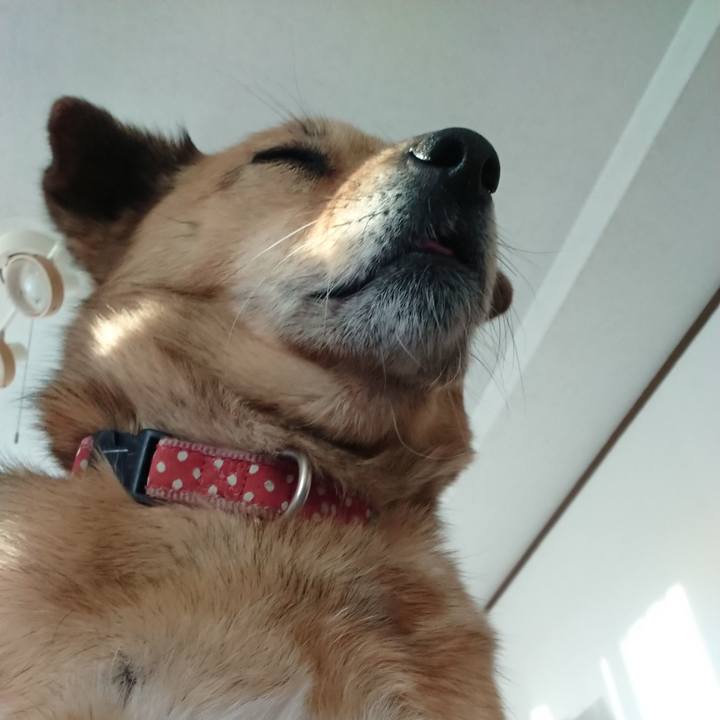 94254930 634c 4e81 ba44 59cc76d671be 1639139994261