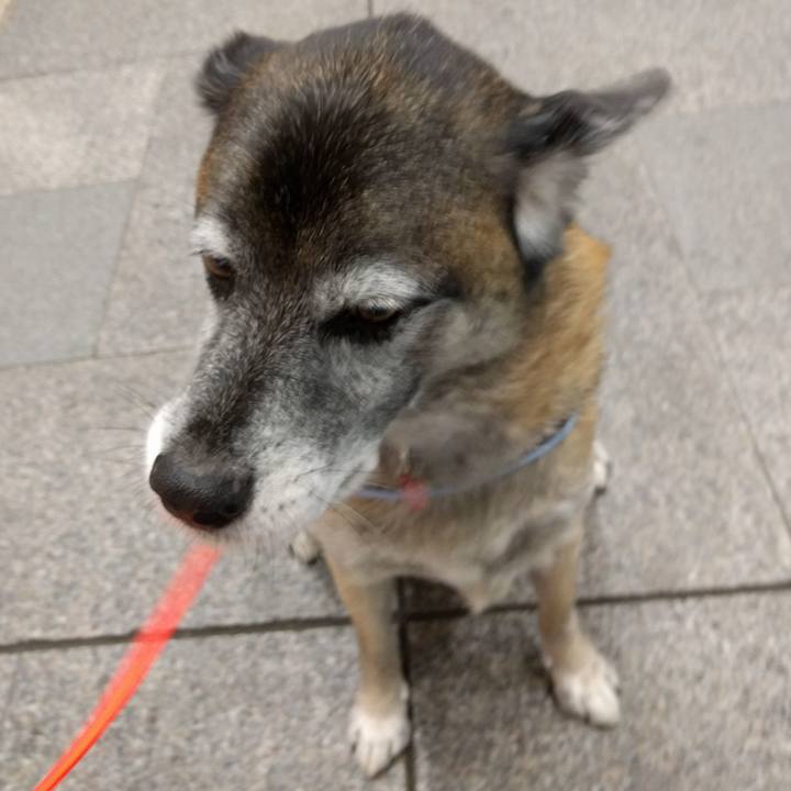 942554dd fe55 4198 b376 413c7c66b615 1743055931570